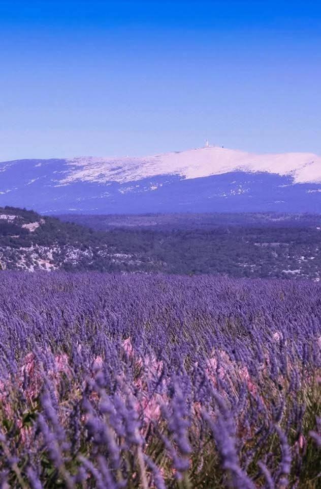 La Fee Viviane Et Michel L'Enchanteur Robion en Luberon Dış mekan fotoğraf